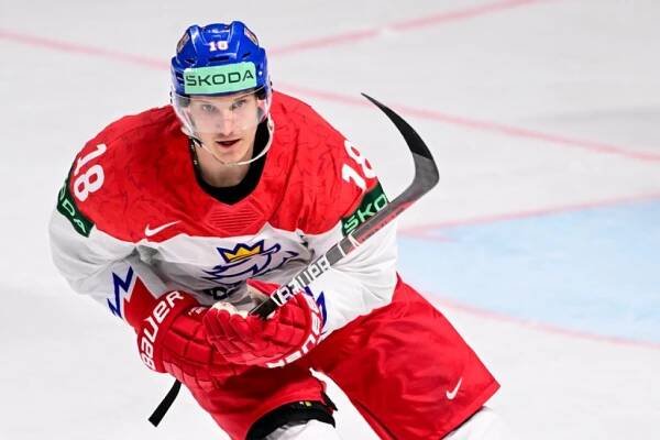 Reprezentační útočník Kubalík mění v NHL Detroit za Ottawu