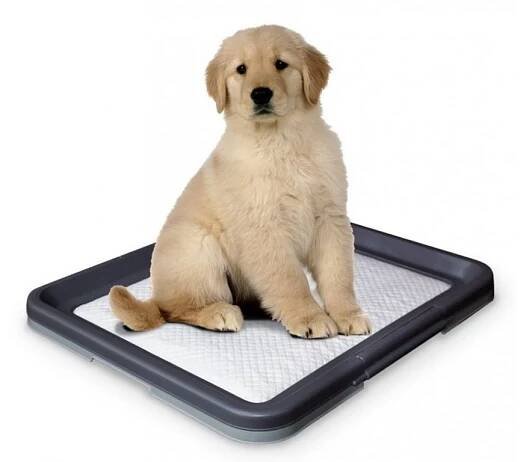 Nobby Doggy Trainer L plastové WC na podložky pro štěňata 62,5 x 48 x 3,8 cm ⇒ 559 Kč - Toalety a podložky pro psy