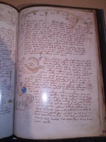 Voynichův Rukopis Nejzáhadnější kniha světa - Odborné knihy