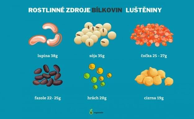 Odkud bereš bílkoviny, vegane? Na jejich zdroje je bohatý i rostlinný jídelníček