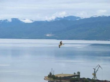 Bajkalské jezero bude čistější. Rusko uzavře celulózku na jeho březích