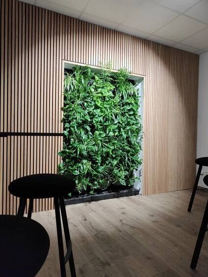 Zelená stěna pro Draka Kabely | myplant.cz