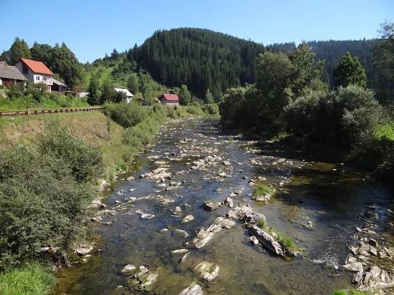 Bílá Orava (řeka)