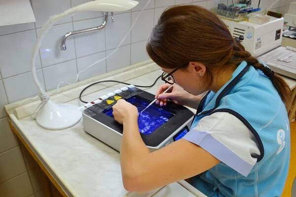 Valašskomeziříčská patologie zpracovává vzorky ve špičkové vodní lázní - ZLIN.CZ
