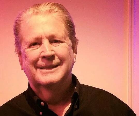 Brian Wilson Biography - Facts, Childhood, Family Life & Achievements