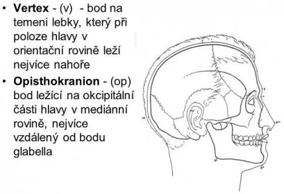 Opisthokranion - (op) - bod ležící na okcipitální části hlavy v mediánní rovině, nejvíce vzdálený od bodu glabella.
