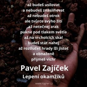 Pavel Zajíček - Tvůj kraj stejně jako můj kraj jde do prdele + Lepení okamžiků