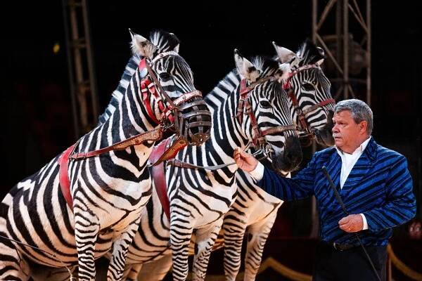 Legendární Cirkus Humberto ukončí letošní turné v Praze-Letňanech