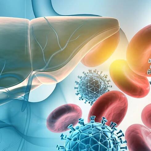 Virus hepatitidy B (HBV)