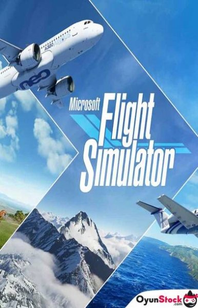 Microsoft Flight Simulator