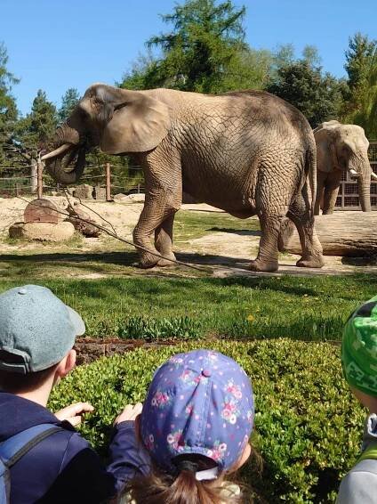 Výlet Zoo Dvůr Králové | Základní škola Pardubice-Dubina, Erno Košťála 870