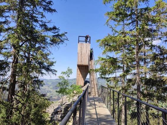 Statný medvěd. Foto © se svolením Lucie Stříbrná