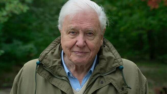 V téměř 100 letech vydělává 88 tisíc za minutu a láme rekordy na Instagramu. Sir David Attenborough chystá další projekt