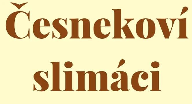Česnekoví slimáci recept
