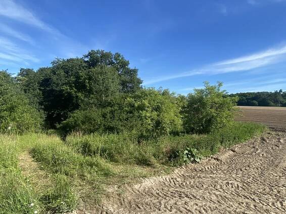 Prodej Pozemek, Milovice - Benátecká Vrutice, okres Nymburk