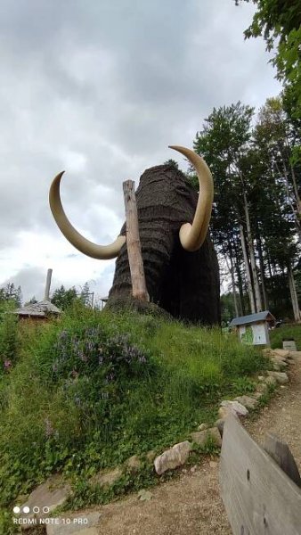 Fotogaléria • Lesní zážitkový park (Zábavný park) • Mapy.com