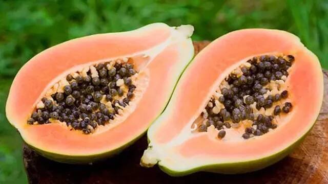 papaya