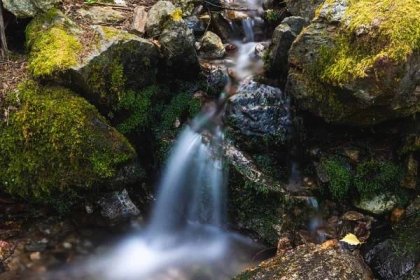 Malebný pohled na vodopád v lesích v národním parku North Cascades ve státě Washington — Stock obrázek