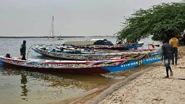 Poznávací zájezdy do Senegalu: Ochutnejte senegalskou kuchyni