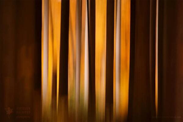 Blurred lines icm