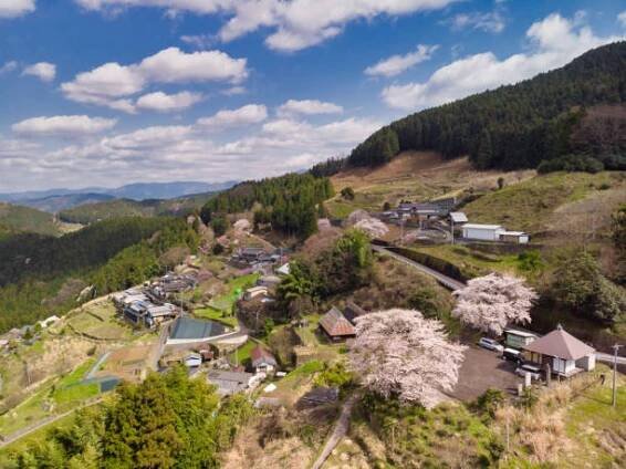 scenérie města mijoši, prefektura tokušima, japonsko - iya valley - stock snímky, obrázky a fotky