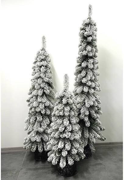 Frosted Amelia Fir Set 1