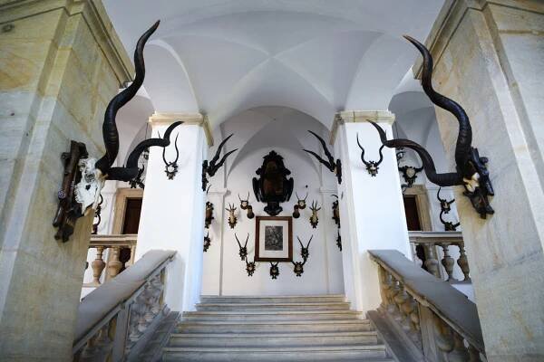 Zámek Úsov a Lovecko-lesnické muzeum - Turistický informační portál Olomouckého kraje