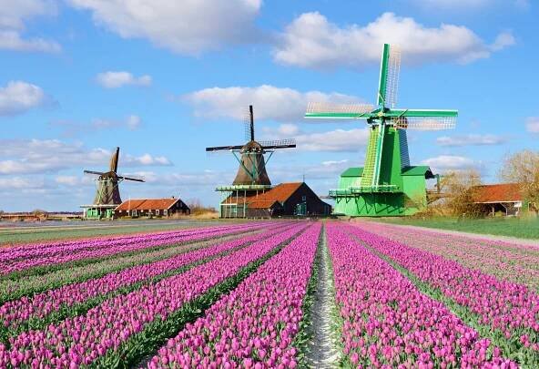 Letecky do Amsterdamu, za tulipány i větrnými mlýny na 3 noci s průvodcem