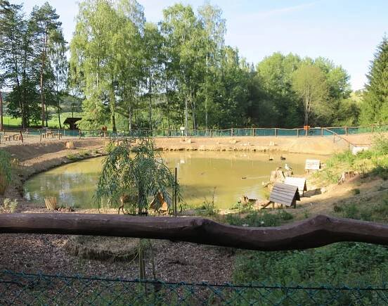 Pohlaďte a nakrmte zvířata z celého světa. Farma Soběhrdy u... | Regiony