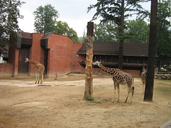 Zoo Liberec
