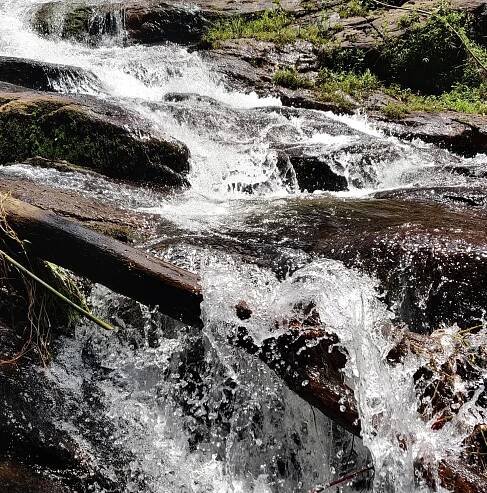 FALLING WATERS - Updated 2025 Prices & Hotel Reviews (Munnar, India)