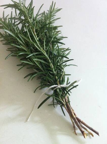 Rosemary bunch