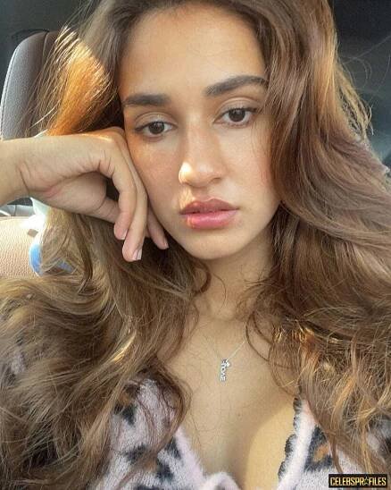 Disha Patani Wiki, Net Worth, Biography and Pics 2021 10