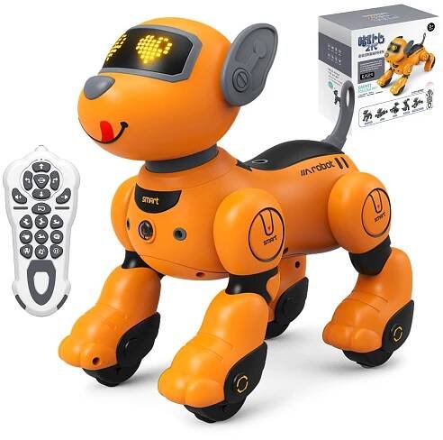 How to Train a Dog to Follow Voice Commands: Easy Steps