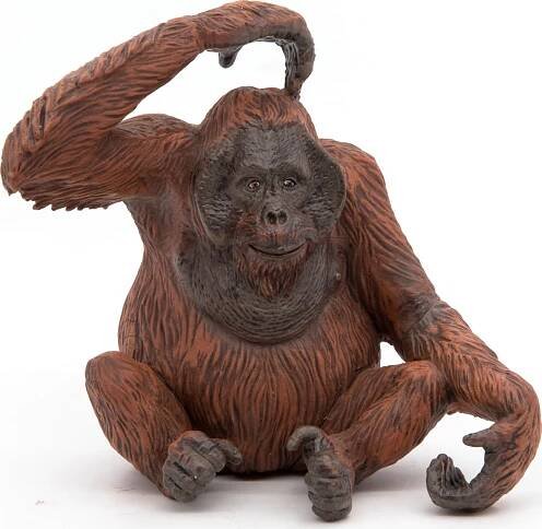PAPO 50120 Orangutan