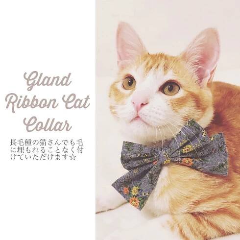calico
