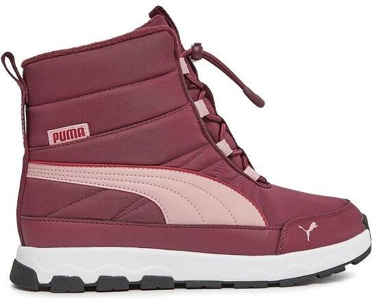 Sněhule Puma