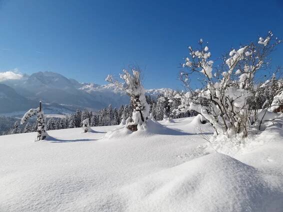 Picture Gallery | Lammerauhof - Pure Nature for Young & Old