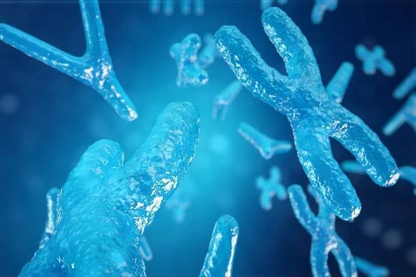 3D obrázek chromozomy Xy jako koncept pro lidské biologie lékařské symbol genovou terapii nebo mikrobiologie genetický výzkum — Stock obrázek