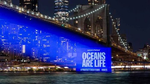 Protect the Oceans Projection onto Brooklyn Bridge