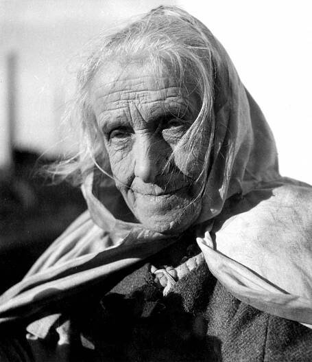 Divá Bára (1949)