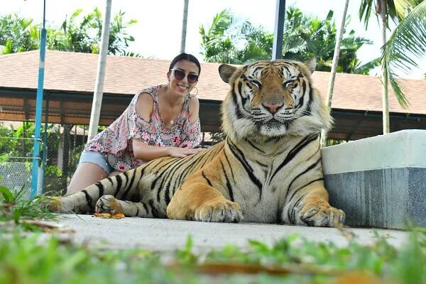 TIGER PARK