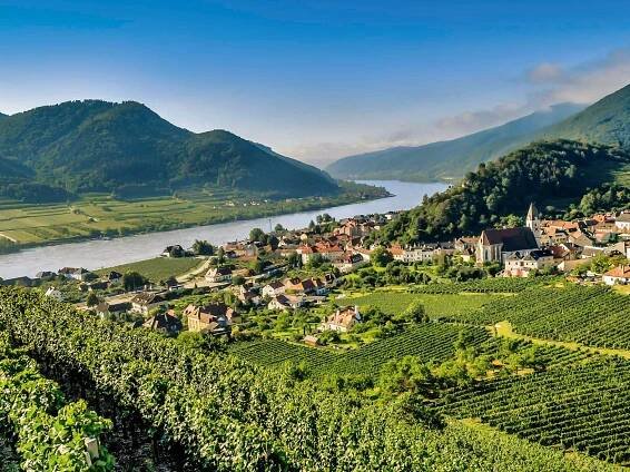 Der Weinort Spitz schmiegt sich an den Tausendeimerberg.