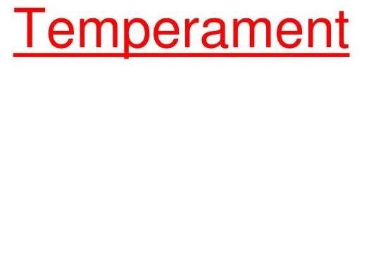PPT - Temperament PowerPoint Presentation, free download - ID:4172588