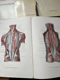 Anatomický atlas lidského těla - Učebnice