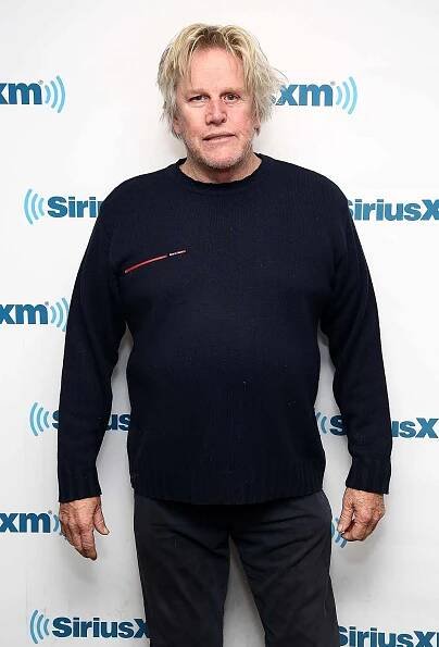 Gary Busey Recalls His Almost Deadly Motorcycle Accident: I 'Went to the Other Side'