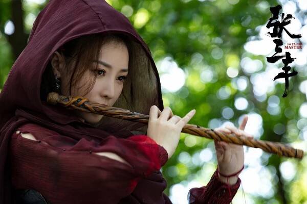 The Tai Chi Master - Fotosky