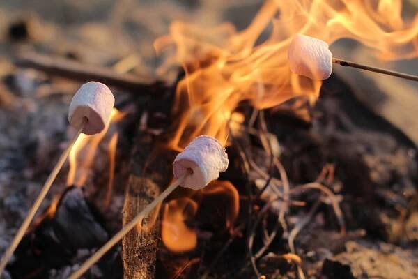 Dangerously Dry Conditions Force DNR to Ban Campfires in WA