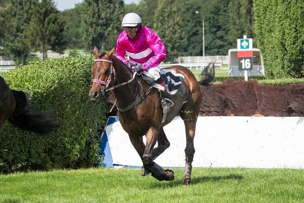 Pardubice: Sundara a hattrick Marcela Nováka | Dostihový svět