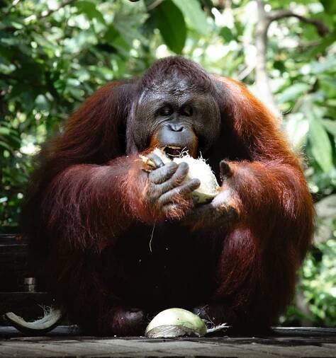 Sabah Itinerary 7 Days: Best Things To Do In 2025